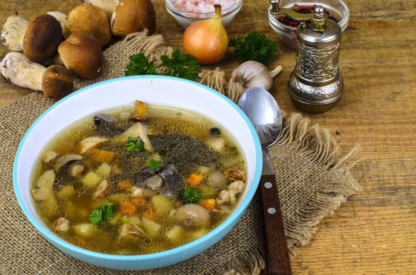 野生のキノコとジャガイモおいしいホット スープ — ストック写真