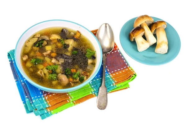 Bowl of mushroom soup on white background — Stock Photo, Image