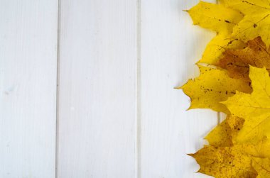 Çerçeve, Beyaz ahşap arka plan üzerinde desen sarı sonbahar yaprakları
