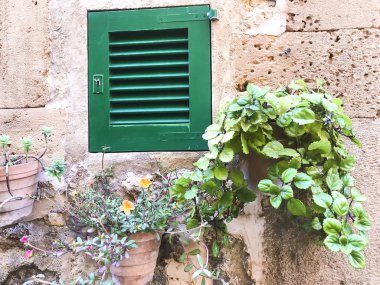 Eski taş duvar saksı