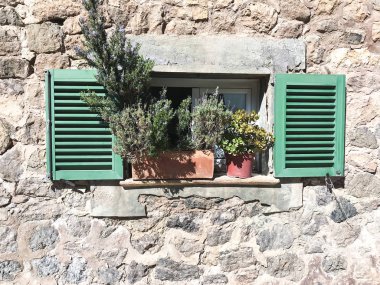 Eski taş duvar saksı