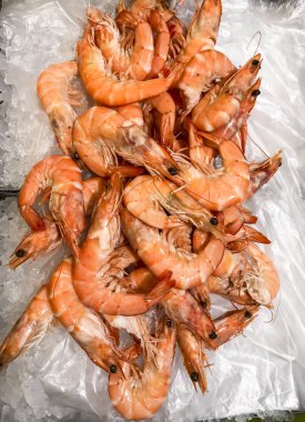 buz üstünde taze karides