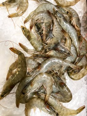 buz üstünde taze karides