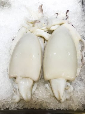 buz üstünde taze kalamar