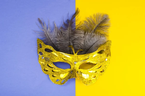 Carnival Mask Natural Feathers Ostrich Mardi Gras Studio Photo — Stock Photo, Image