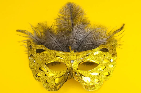 Carnival Mask Natural Feathers Ostrich Mardi Gras Studio Photo — Stock Photo, Image