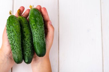 Taze yeşil salatalık çocuk elinde. Studio fotoğraf