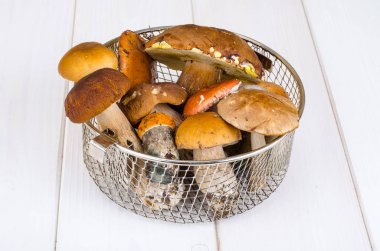 Beyaz ahşap masa üzerinde taze vahşi orman mantar. Studio fotoğraf