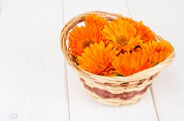 Tıbbi bitki. Çiçekler ve petal Calendula officinalis Beyaz ahşap zemin üzerinde. Studio fotoğraf