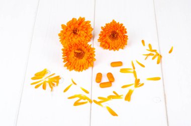 Tıbbi hazırlıkları üzerinde şifalı bitkiler dayalı. Calendula marigold çiçek. Studio fotoğraf