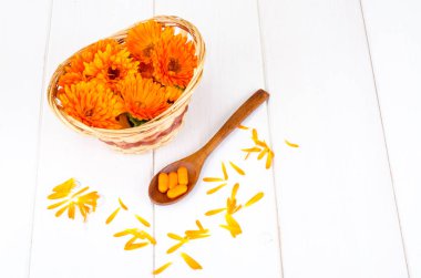 Tıbbi hazırlıkları üzerinde şifalı bitkiler dayalı. Calendula marigold çiçek. Studio fotoğraf