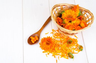 Tıbbi hazırlıkları üzerinde şifalı bitkiler dayalı. Calendula marigold çiçek. Studio fotoğraf