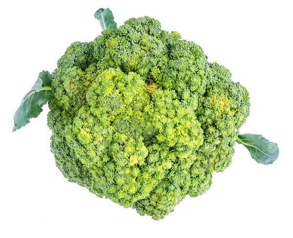 Ekologiczne Warzywa Brokuły Białym Tle Studio Photo — Zdjęcie stockowe