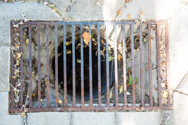 Paslı metal duş rendeleyin. Stüdyo Phot