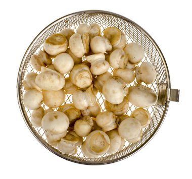 Taze petrol pişirme için yıkanır. Studio fotoğraf