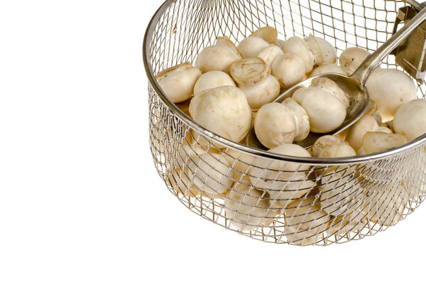 Свежие шампанские, вымытые для приготовления пищи. Студия фото
