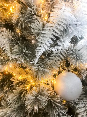 Noel köknar süslemeli dallarında Festival arka plan. Studio fotoğraf