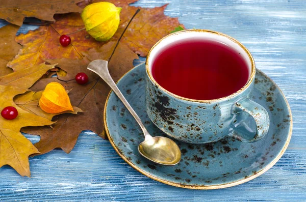 Mug Hot Herbal Red Tea Studio Photo — Stock Photo, Image