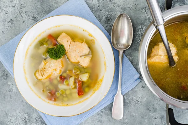 Fish soup with vegetables and salmon in white plate on gray background. Studio Photo — Stock Image Fish Soup Vegetables Salmon White Plate Gray Background Studio Photo Royalty Free Stock Images