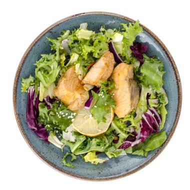 Sağlıklı gıda kavramı. Yeşil yaprakları ve haşlanmış somon salatası. Studio fotoğraf