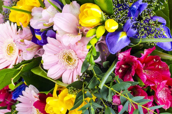 Beautiful Floral Background Mix Flowers Studio Phot — Stock Photo, Image