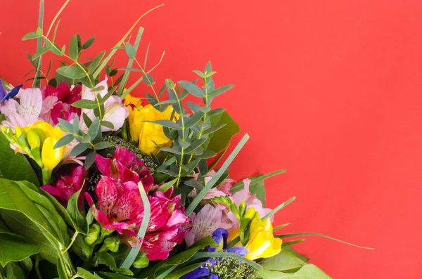 อดอกไม สดบนพ นหล แดง ปภาพสต — ภาพถ่ายสต็อก