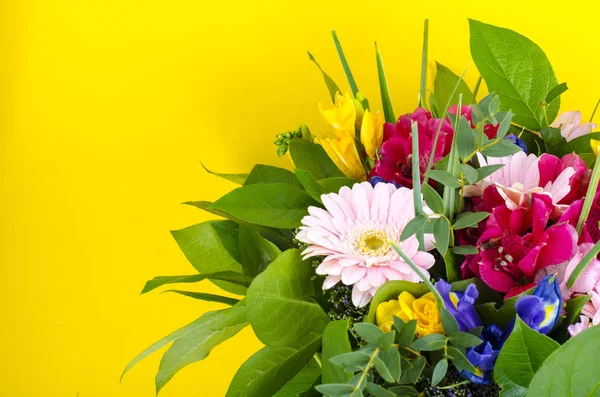 Mischung Aus Sommerblumen Bouquet Auf Hellem Hintergrund Studioaufnahme — Stockfoto