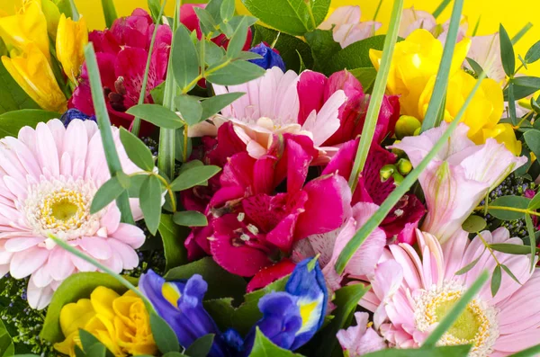 Mischung Aus Sommerblumen Bouquet Auf Hellem Hintergrund Studioaufnahme — Stockfoto