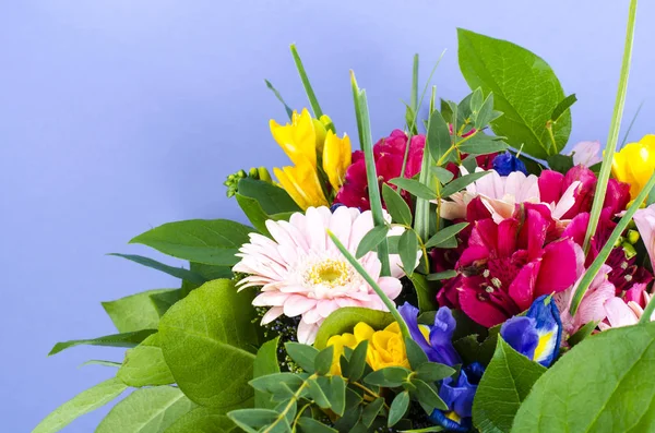 Eleganter Blumenstrauß Zum Feiern Auf Blauem Hintergrund Atelierphot — Stockfoto