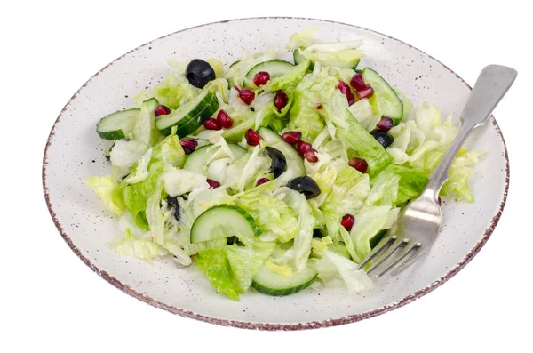 Viktminskning Dietary Sallad Med Färska Grönsaker Och Granatäpplekärnor Studio Phot — Stockfoto