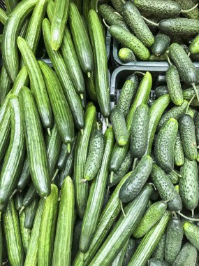 Sebze arka plan, doku, süpermarkette yeşil salatalık. Studio fotoğraf