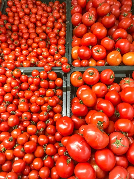 Plantaardige Achtergrond Textuur Rijpe Rode Tomaten Supermarkt Studio Foto — Stockfoto