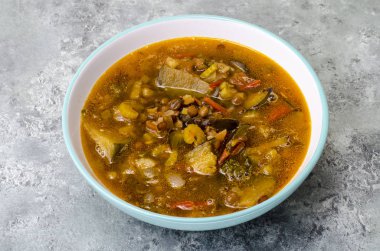 Patlıcan ve mercimek ile sıcak sebze çorbası. Studio fotoğraf