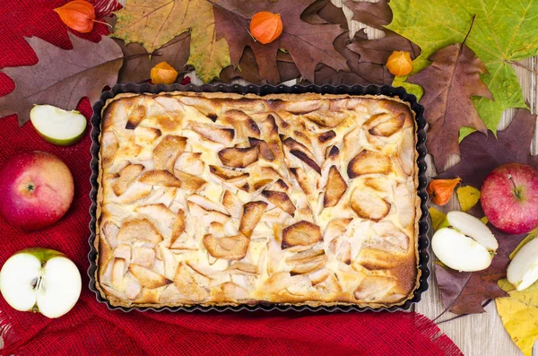 Elmalı turta dikdörtgen pişirme çanağı içinde. Studio fotoğraf