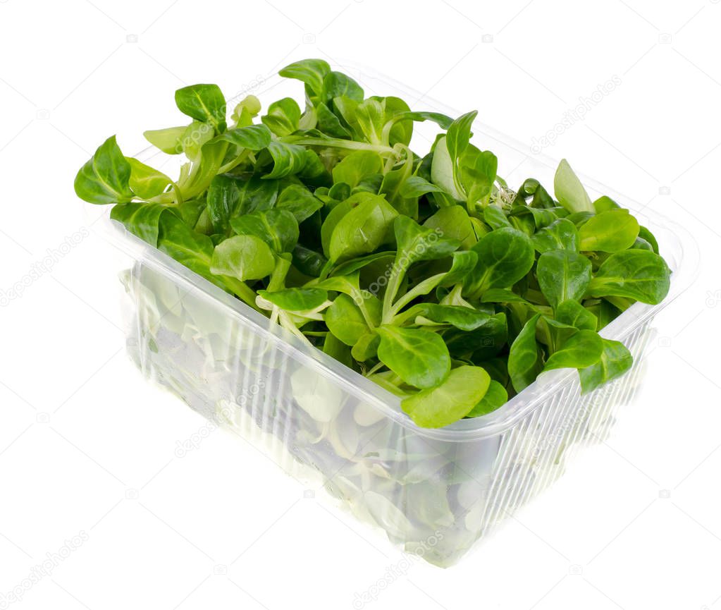 Corn salad leaves fresh green in package. Studio Photo