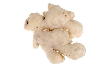 Taze zencefil, ot tıbbi kavramı. Studio fotoğraf