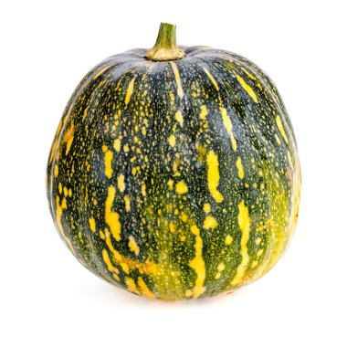 Kabak tüm yuvarlak renk. Studio fotoğraf