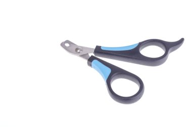 Pençe clippers kedi ve küçük köpek bakımı için. Studio fotoğraf
