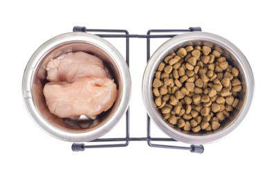 Doğal et ve kuru evde beslenen hayvan yiyecek arasında seçim. Studio fotoğraf