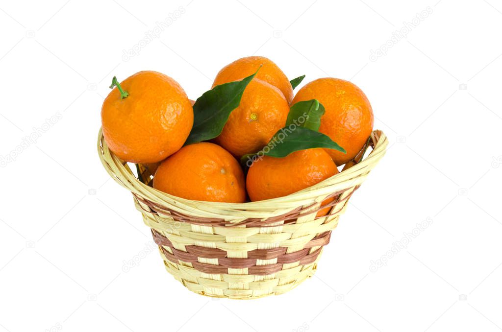 Bunch of fresh tangerines, clementines or mandarins in basket and leaves close up. Studio Photo