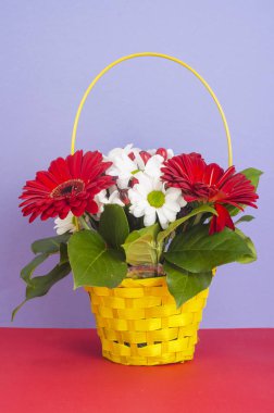 Hediye sepeti ile parlak zemin üzerine güzel çiçekler. Studio fotoğraf