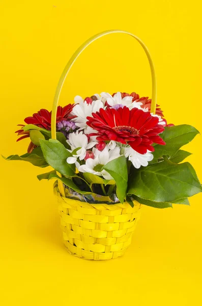 Gift basket with beautiful flowers on bright background. Studio Photo
