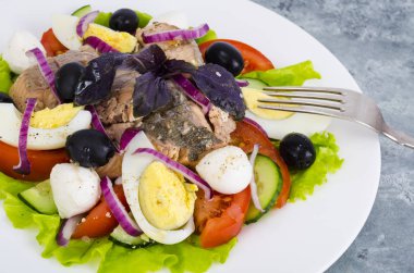 Yumurta, balık ve zeytin ile sebze salatası