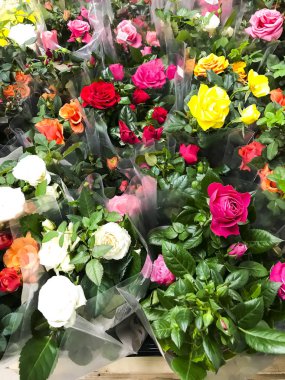 Mağaza, Satılık buketler ve tencere şenlikli güzel taze çiçekler