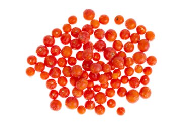 Domates, buzdolabında beyaz izole dondurulmuş