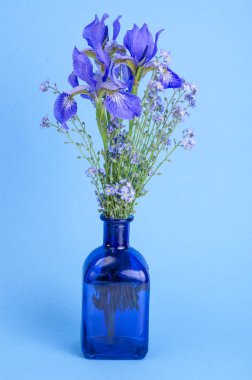 Küçük bir buket mavi bahçe çiçeği. Fotoğraf