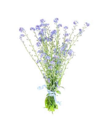 Küçük bir buket mavi bahçe çiçeği. Fotoğraf