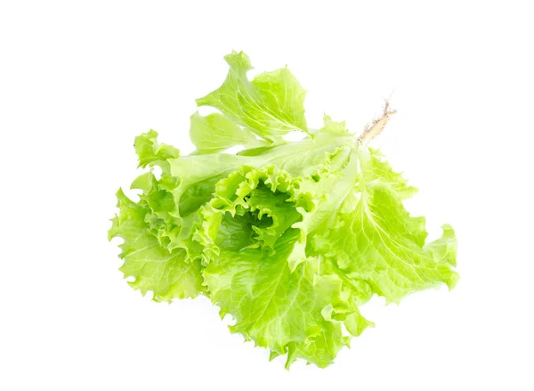 Ensalada de hoja verde aislado en blanco. Foto: — Foto de Stock