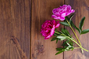 Ahşap masa üzerinde kurdele ile iki güzel şakayık