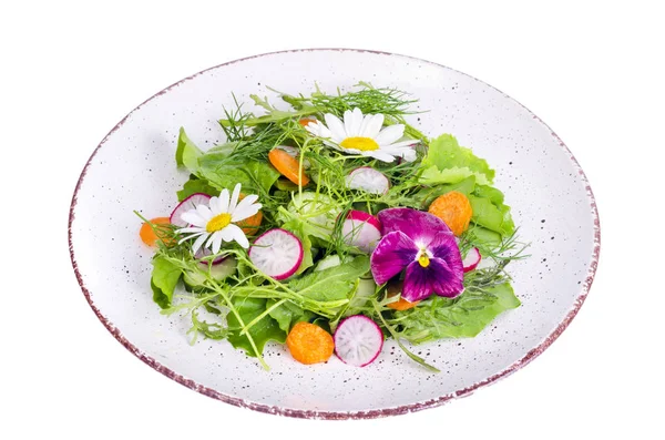 Insalata estiva vegana brillante su piatto bianco — Foto Stock